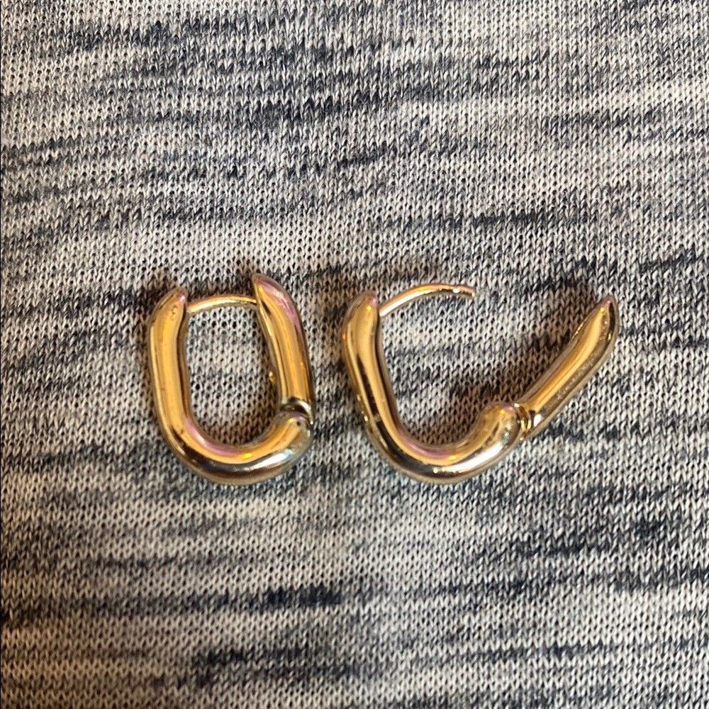 Elegant Gold and Silver Hoop Earrings
